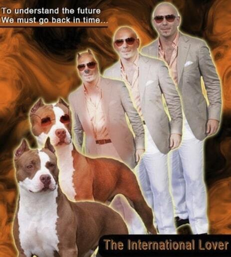 Animorphs and View Transitions